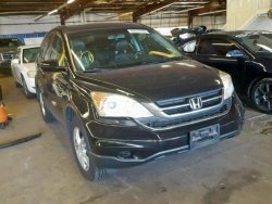 HONDA CR-V EXL 2011 авто из США под Ключ c6e4247a4d - зображення 1