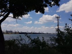 Продам участок в Одессе Морской Залив dd5ea3cdf5 - зображення 1