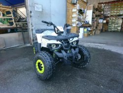Forte Hunter 125 Квадроцикл 80c8552afc - зображення 1