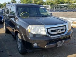 HONDA PILOT EXL 2011 авто из США под Ключ 71515bb39a - зображення 1