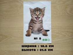 Наклейка котик номер 5 для ванны, детской комнаты f7377c8ae6 - зображення 1