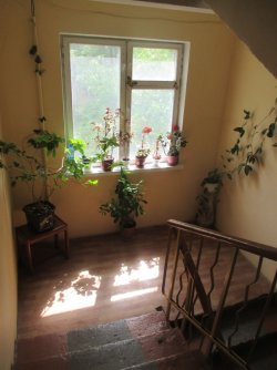 Продам 1-комнатную квартиру на 1 ст.Люстдорфской дороги d2c56304ee - зображення 1