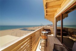 Грибовка  2 га 1 линия от моря 4311840e9c - зображення 1