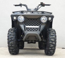 Квадроцикл Linhai M150 2a215ec454 - зображення 1