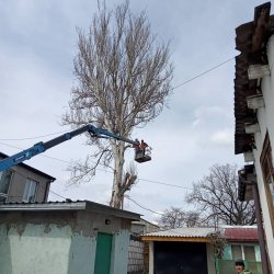 Спил деревьев и обрезка веток. Аккуратно c9ea88cb2c - зображення 1
