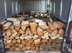 продам дрова сухие сосна доставка дров по Херсонской области и по Украине 131766ab2e - зображення 1