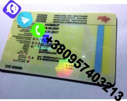 Водительские удостоверения/права СРОЧНО без очереди ОФИЦИАЛ 0850368b3f - зображення 1