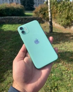 Apple IPhone 11 64Gb Green ea6f644528 - зображення 1