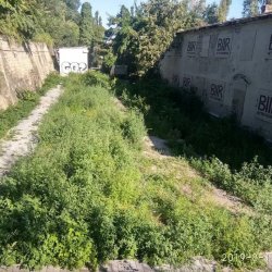 Покос травы, бурьяна, газонов. Качественно 90e127716f - зображення 1