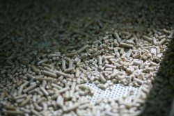Пелета з хвойних порід. Сертифікована, сорт А1. 56e217f003 - зображення 1