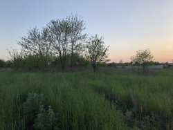 Продам участок в пос. Циркуны, 15 соток Без комиссии! 3d0dfb9f84 - зображення 1