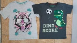 Стильный набор:модная  футболочка Dino&Tiger5/6 0e1e2b056e - зображення 1