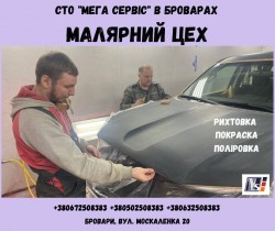Малярний цех та Професійний ремонт авто на СТО "Мега Сервіс" 6725a256cf - зображення 1