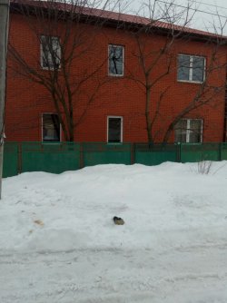 Продам дом  Лысая Гора новой постройки. a57e395cae - зображення 1