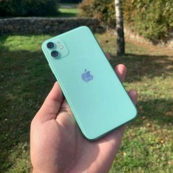 Apple iPhone 11 64 GB Green da0c1c53d0 - зображення 1