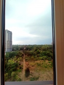 1 ком.кв.Приморский район 2283ee9586 - зображення 1