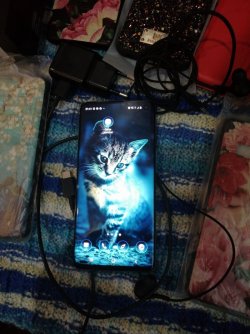 Samsung s10 plus ea98ccc06c - зображення 1